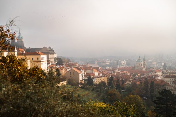 blog image